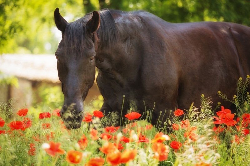 D24A6039-Bearbeitet